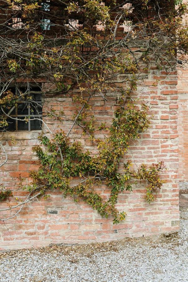 Villa Nottola Montepulciano Exterior photo